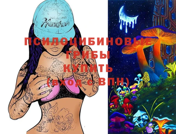 дживик Абаза