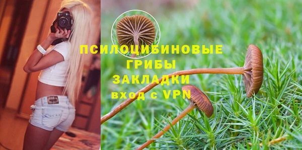 дживик Абаза