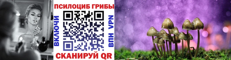 сколько стоит Горячеводский OMG ссылка Псилоцибиновые грибы GOLDEN TEACHER